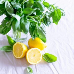 A vibrant still life featuring fresh basil and lemon slices against a crisp white background.